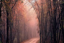 篮球人——曾凡博找回自信.