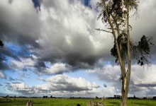 [天下足球]福登：相信自己.