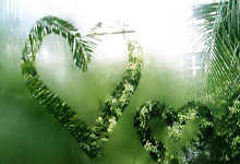 [NBA]默里单打霍姆格伦 干拔中距离得手.