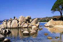 欧博官方网站：杨鸣：相比连胜更关心球队健康 稍有闪失一场球就可能决定命运.